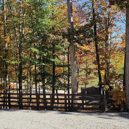 Sugar Bear Cabin With Boat Parking 5 Mins To State Park & Golf Βίλα Burkesville Εξωτερικό φωτογραφία